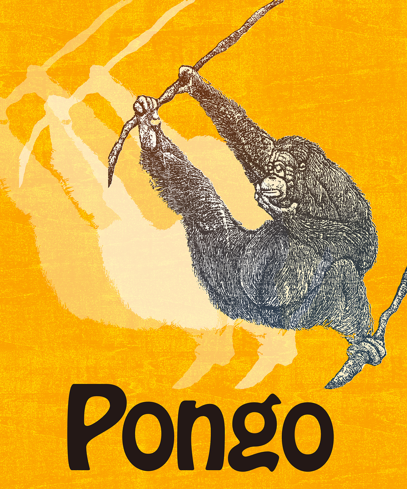 オランウータンは総称して「Pongo」というらしい。。。